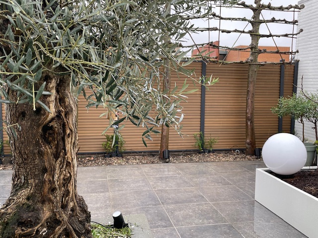 Composiet schutting Rhombus teak - Afbeelding 7