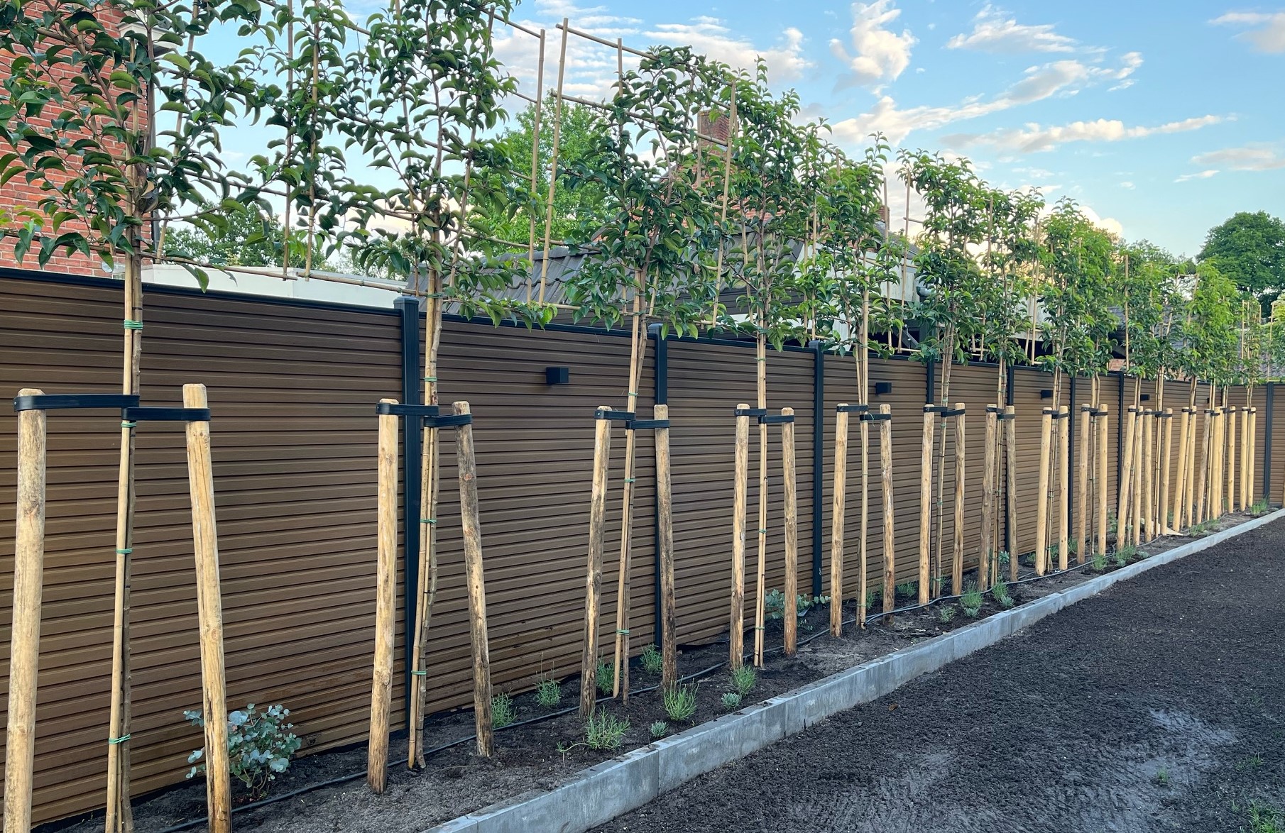 Composiet schutting Rhombus teak - Afbeelding 9